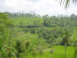2001 Bali 023