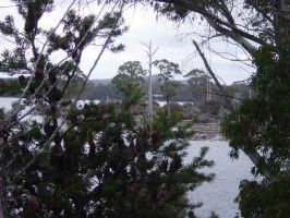 2003 Tasmanien 011