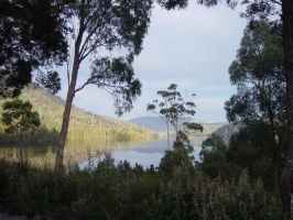 2003 Tasmanien 017