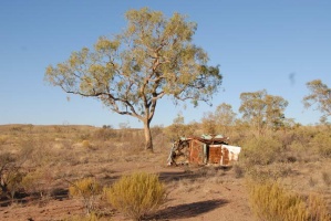 2008 Outback Australien 013